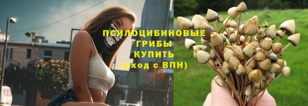 apvp Алексеевка