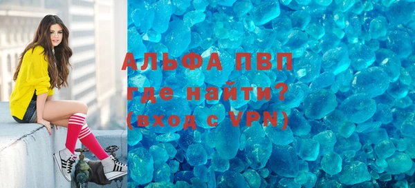 СК Пересвет