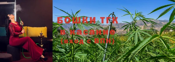 СК Алексин