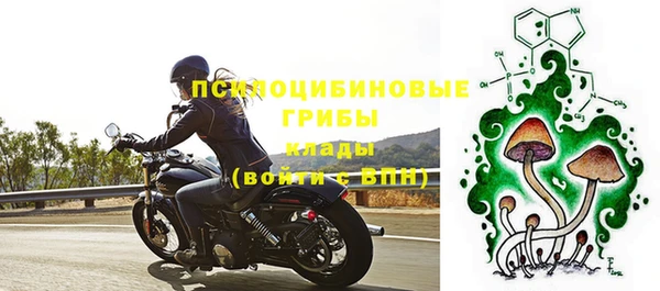 СК Алексин